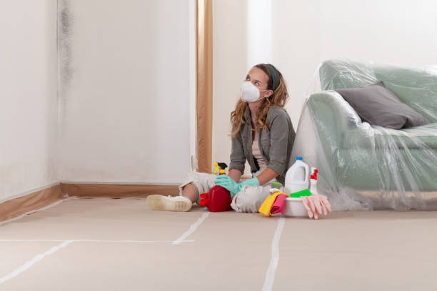 Reliable Mold Remediation contractor in Barnesville, MN by WQB Mold Removal